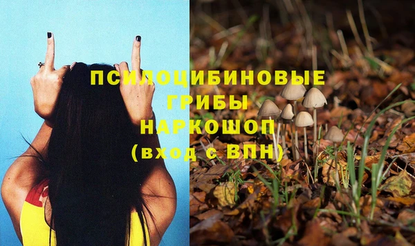 MDMA Богданович
