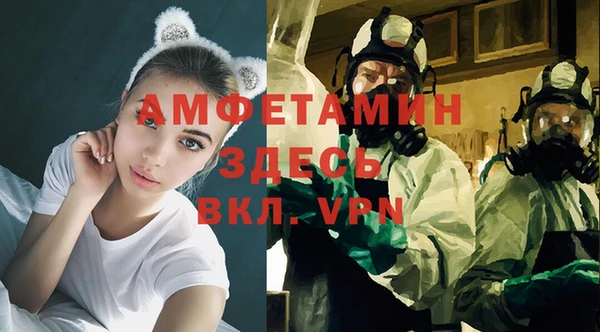 сатива Шали