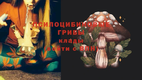 дурь Богородск