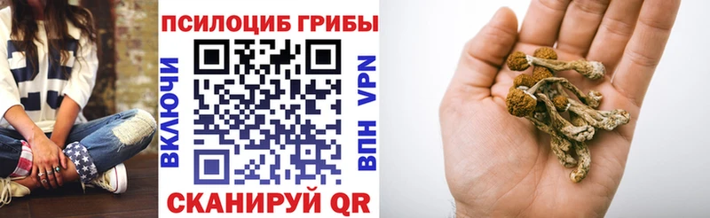 Псилоцибиновые грибы GOLDEN TEACHER хочу Новосибирск
